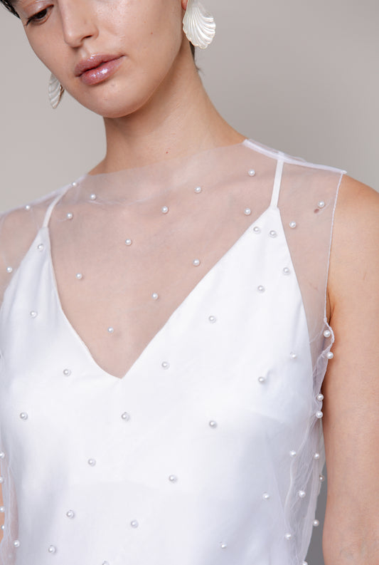 Overlay Tank